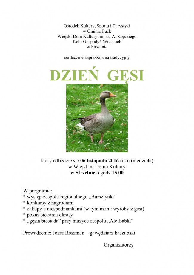 dzien-gesi-2016-zaproszenie_01